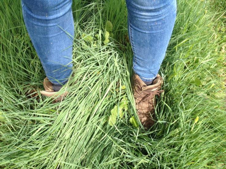 boots in grass